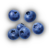 Blueberry